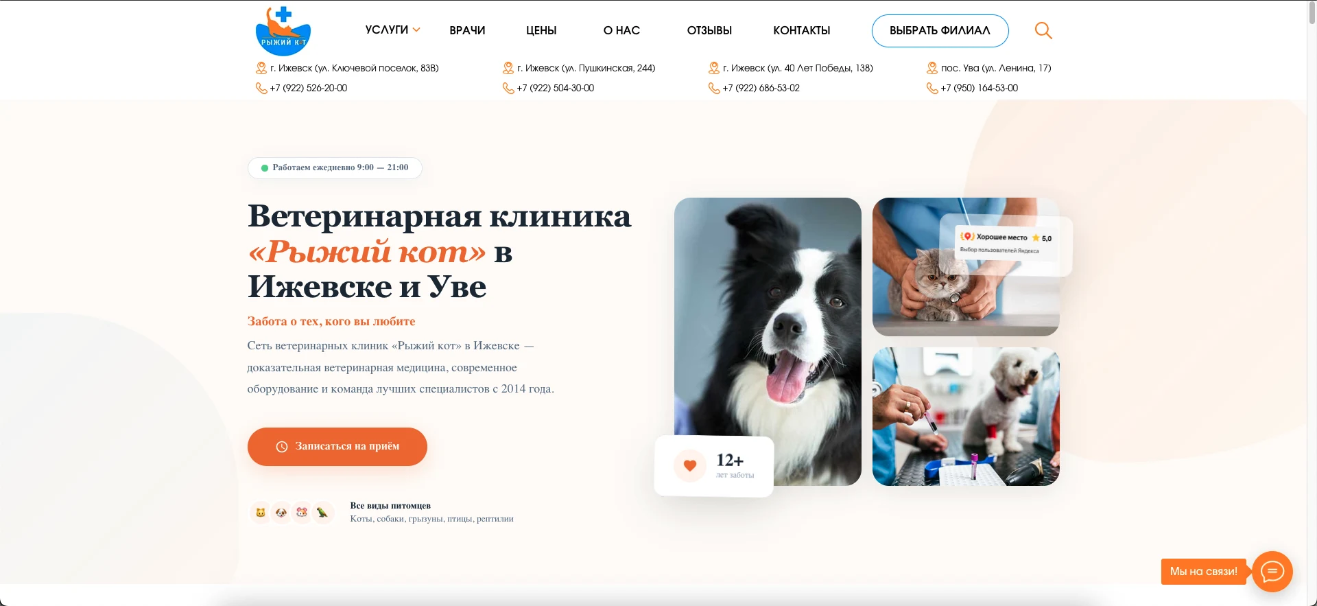 Главная страница сайта: Ветеринарная клиника «Рыжий кот»